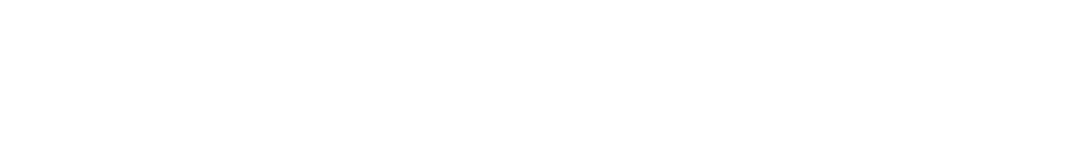 Nordic Spirit Logo
